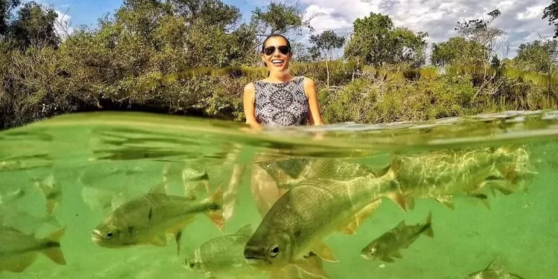 Balneario Municipal De Bonito Peixes Rio Formoso