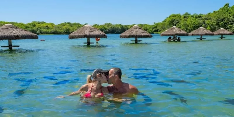 Praia Da Figueira Balneario Em Bonito Casal