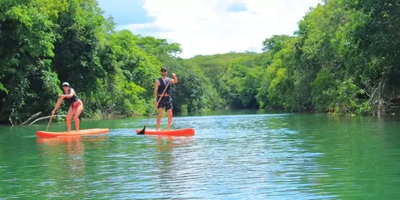 Stand Up Rio Formoso Eco Park Porto Da Ilha