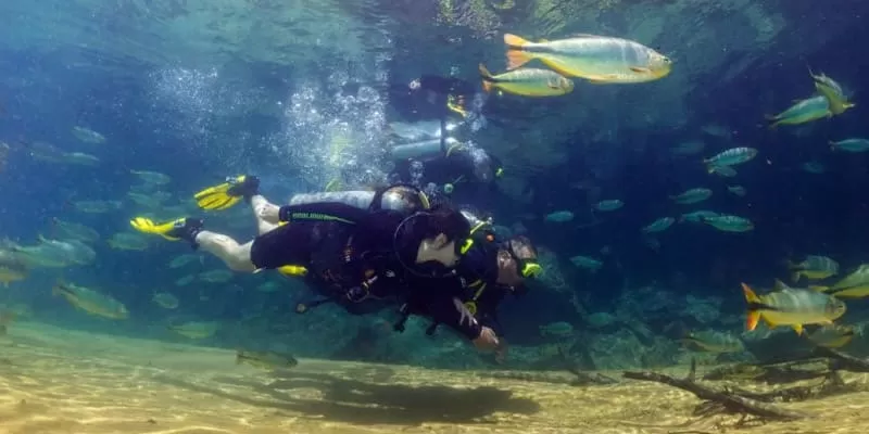 Mergulho Com Cilindro Rio Da Prata Jardim