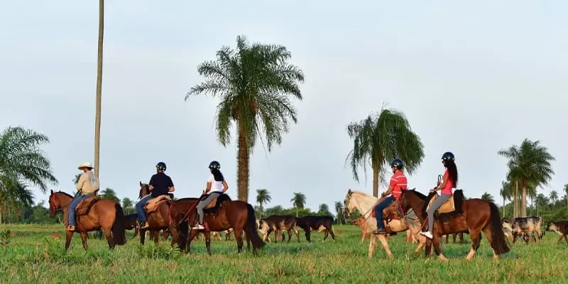 Cavalgada No Rio Da Prata Bonito Ms