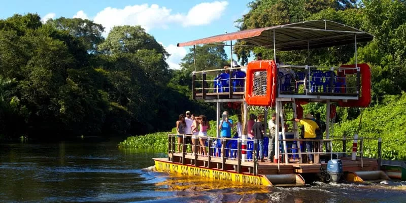 Passeio De Chalana No Pantanal