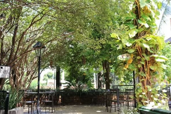 casa do joão pé dois