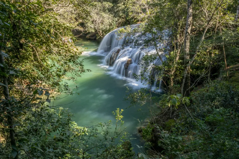 preservação ambiental
