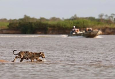 Safárii no Pantanal (1)