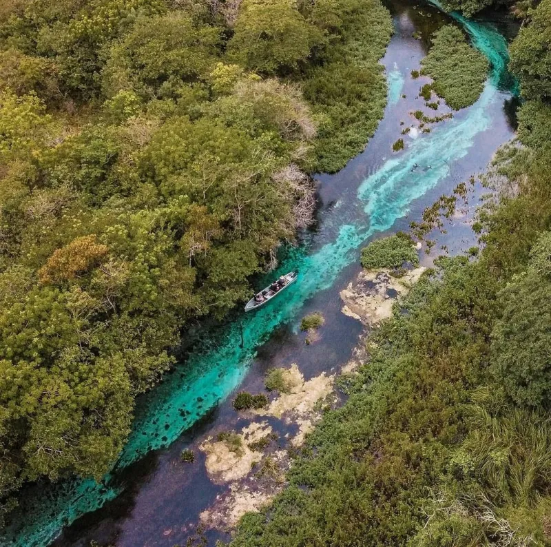 160993473_909295516553146_1739625872466570200_n