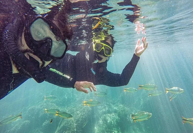 flu rio da prata (1)