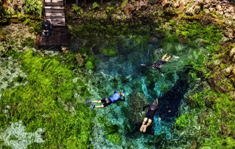 Snorkel-em-bonito-(1)