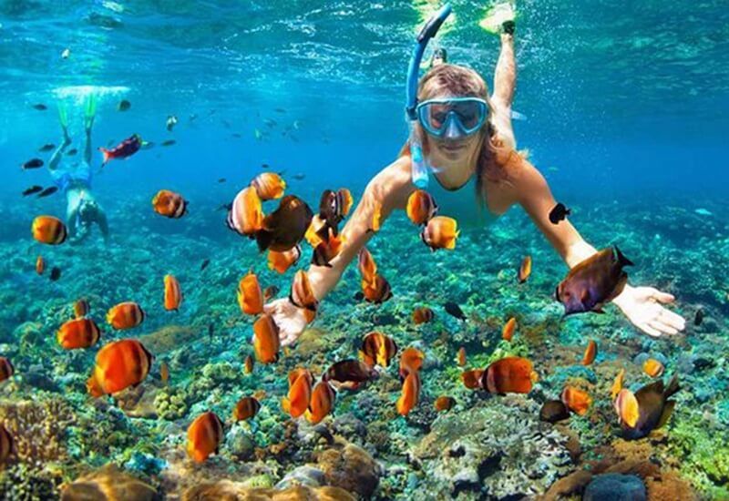 Snorkel-e-peixes-(1)