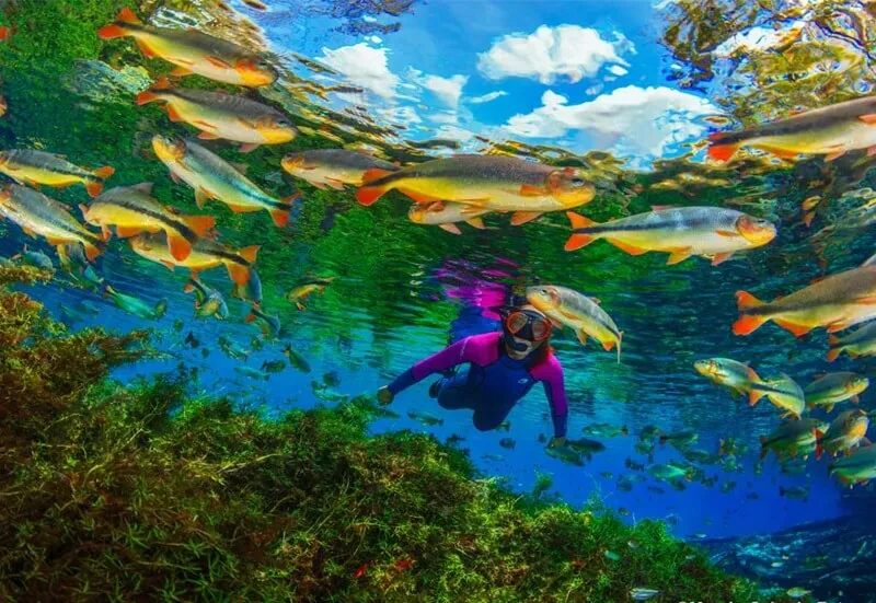 Snorkel-rio-prata-(1)