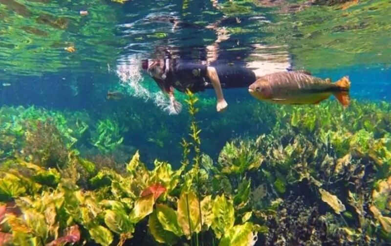 Snorkel-aquario-natural-(1)