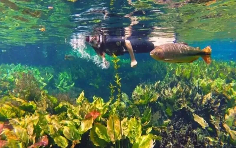 Snorkel-aquario-natural-(1)