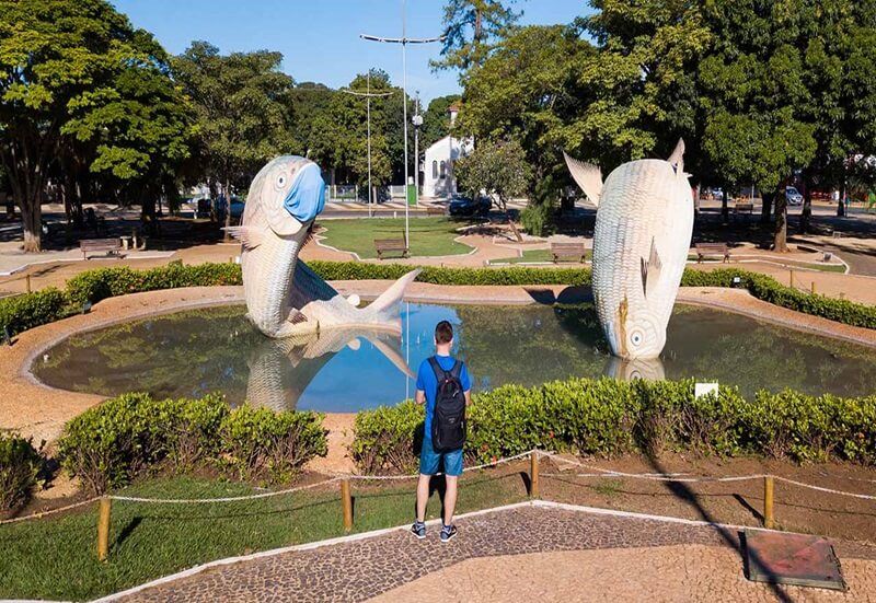 primeira-viagem-bonito-(1) primeira-viagem-bonito-(1)