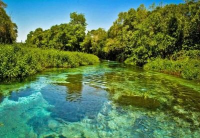 Bonito-e-Pantanal-(1)