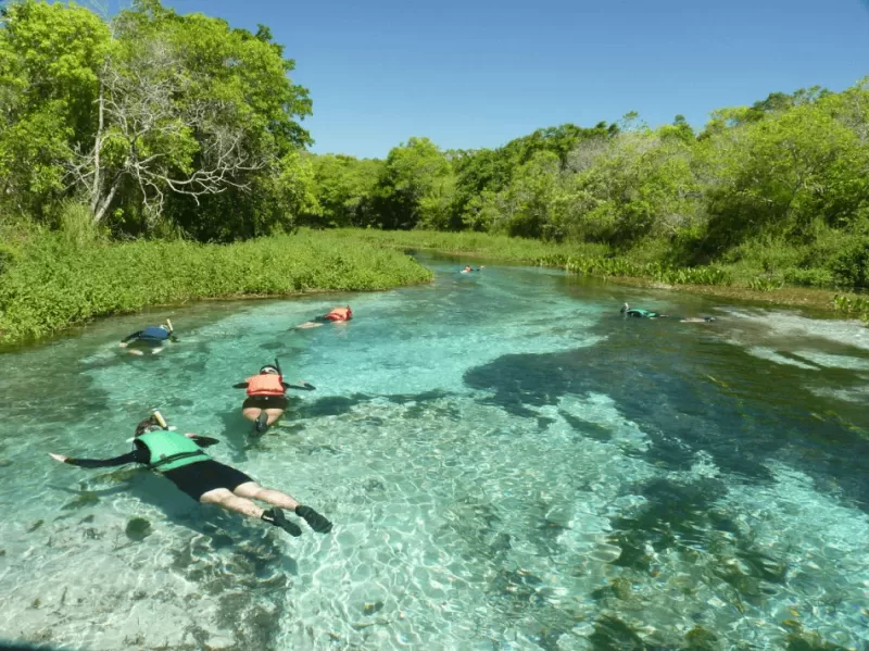 Flutuação Barra Do Sucuri