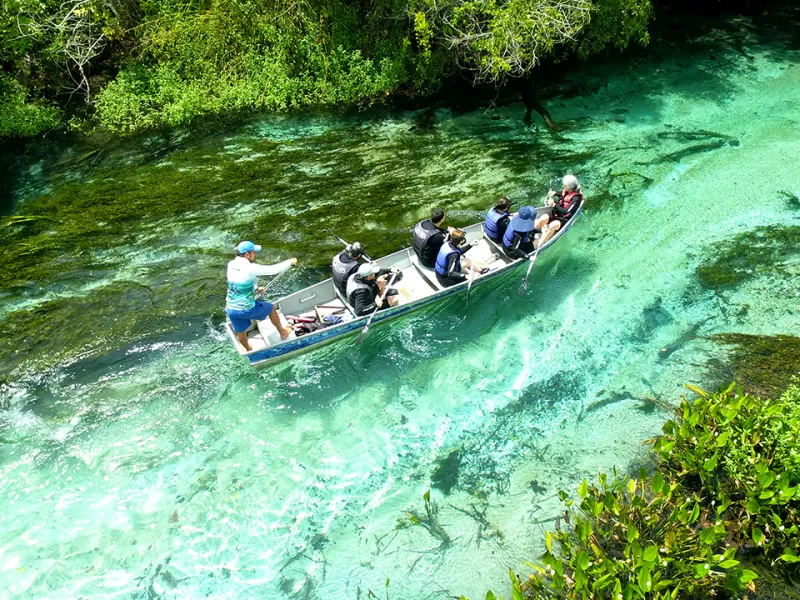 Barra Do Sucuri / Acqua