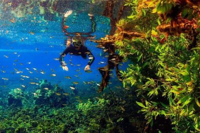 Quais as diferenças entre os Passeios Rio da Prata e Rio Sucuri