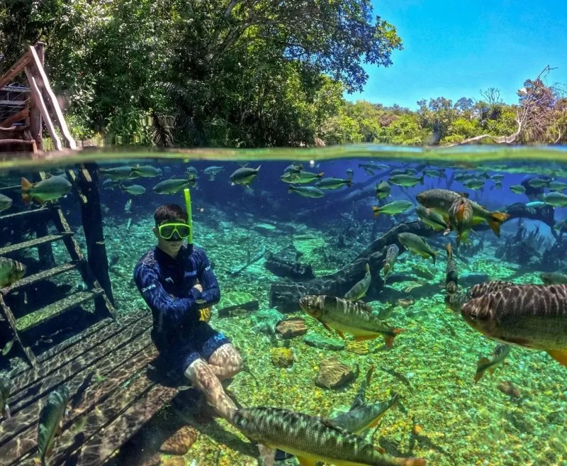 Rio Da Prata   Flutuação Em Bonito