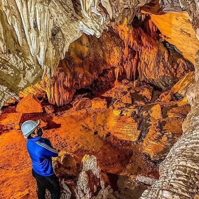 Melhorzdestinozpszcovid