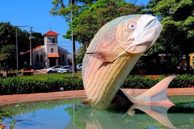 Como Viajam Os Visitantes Que Buscam O Turismo Em Bonito Em Tempos De Pandemia ?