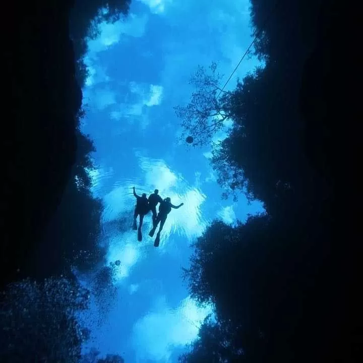Bonito 117