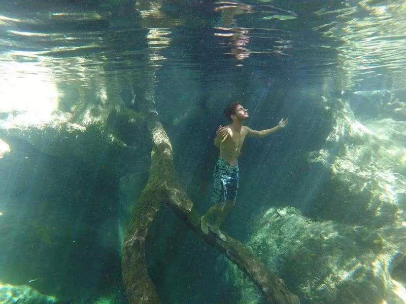 Bonito 131