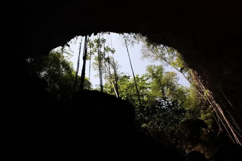 Boca Da Gruta Do Lago Azul. Bonito (MS), Brasil