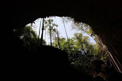 Boca Da Gruta Do Lago Azul. Bonito (MS), Brasil
