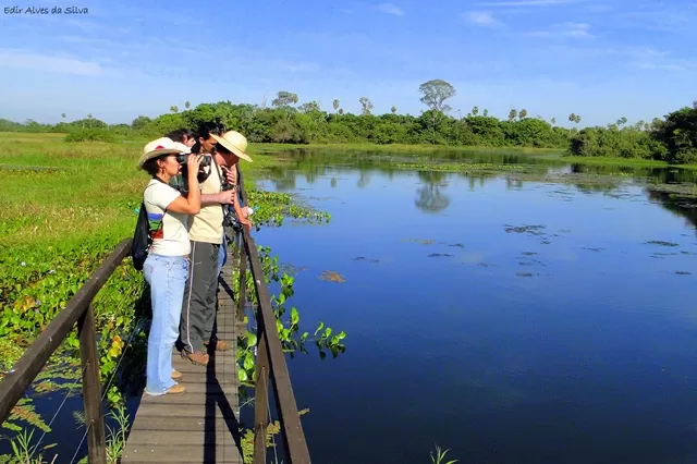 2139 Trilha Da Vazante Faz San Francisco Pantanal Foto Edir Alves 2011 3