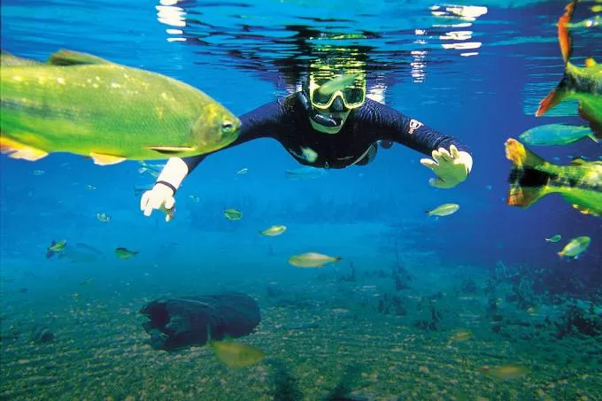 Barra Sucuri Acqua