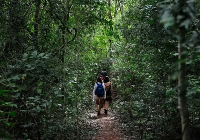 Trilha Da Lagoa Misteriosa