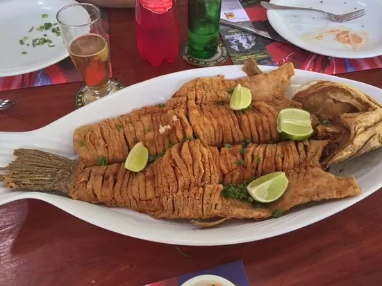 Traira Sem Espinha   Acquaviagens