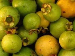 Guavira