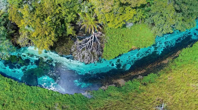 Flutuacao Rio Sucurii