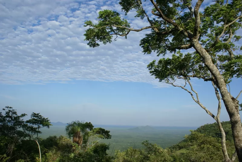 Morraria Do Sul