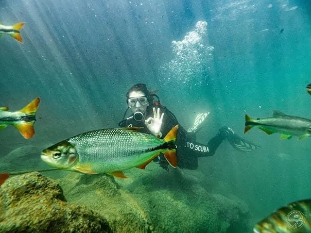 Megulho Rio Formoso