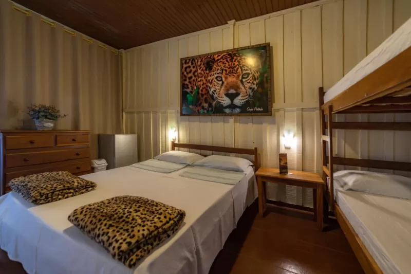 Pantanal Jungle 3