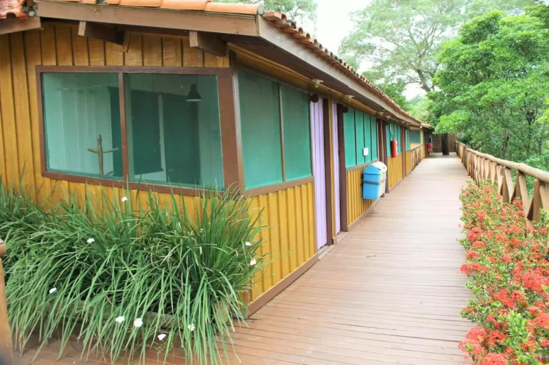 Pantanal Jungle Lodge 5