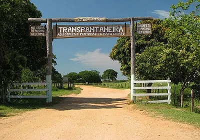 Transpantaneira1