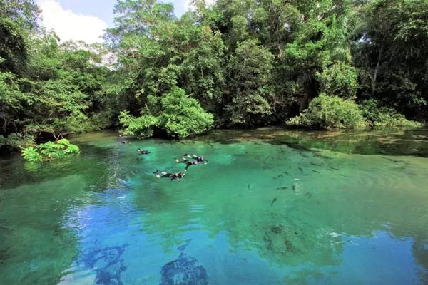 Flutuacao Nascente Rio Prata Ms