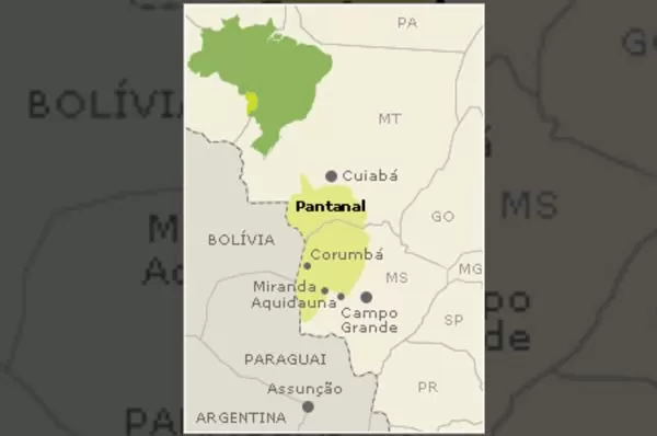 Pantanal Mapa
