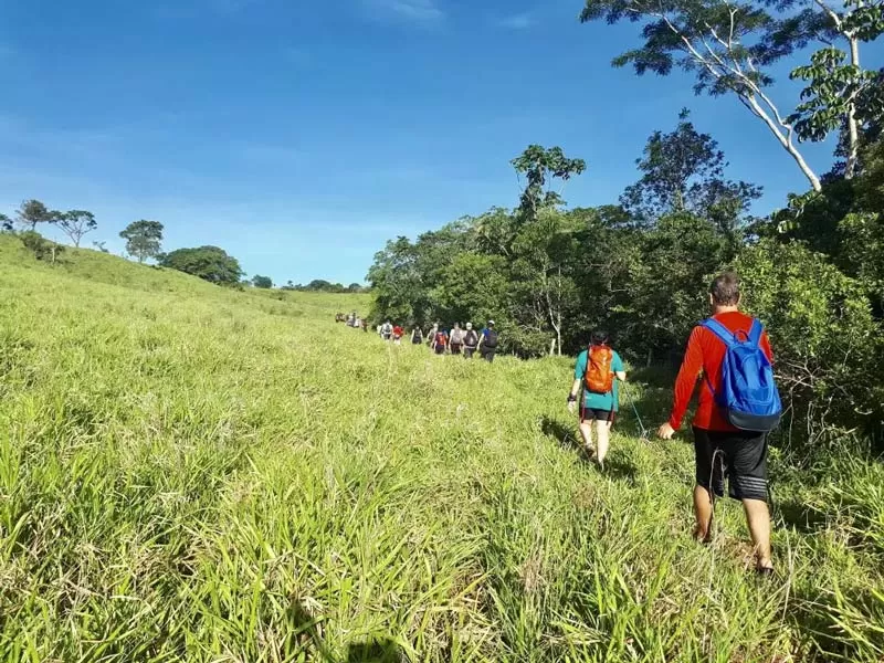 Trilha Pantanal Sul
