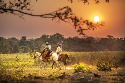 Pantanal Sul Novela 1