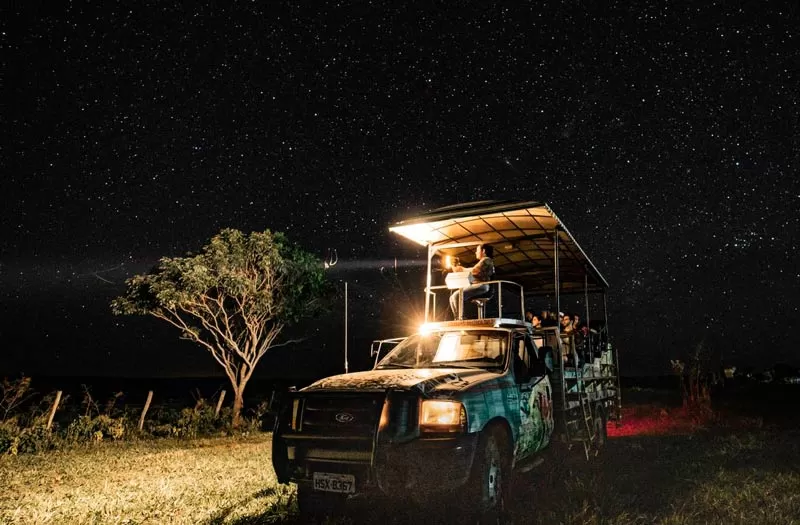 Focagem Noturna Pantanal