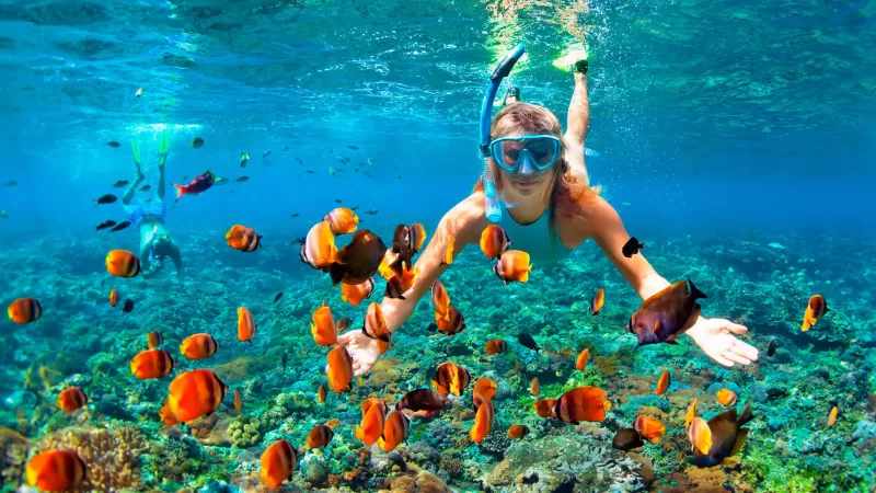 Mergulho Em Fernando De Noronha Min