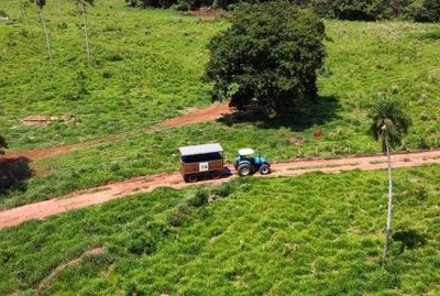 Passeio De Trator Min