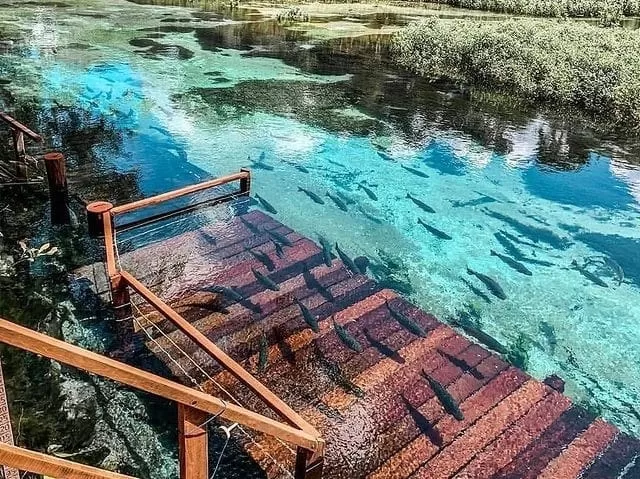 Nascente Do Rio Sucuri
