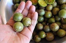 Guavira: Do Cerrado De Bonito Para O Mundo