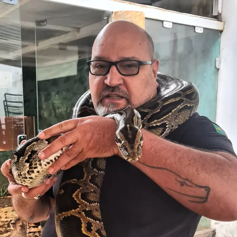 Henrique Naufal, Idealizador Do Projeto Jiboia
