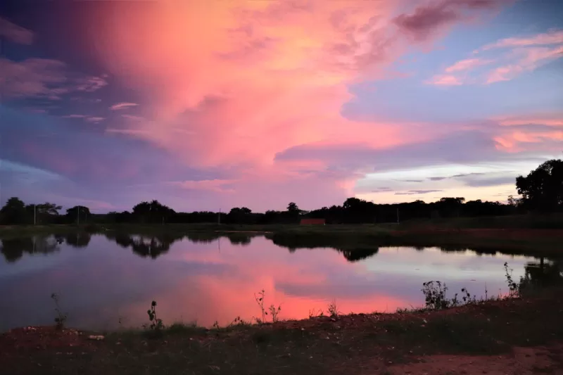 Hi Fish  Panatanal   Por Do Sol